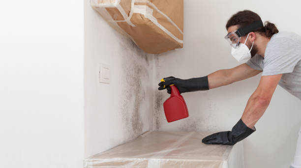 Professional Mold Inspection And Testing technician working in Franklin Park, NJ